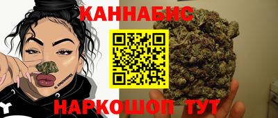 крисы Кинель