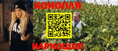 mix Кингисепп