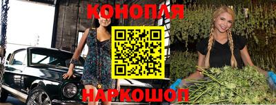 крисы Кинель