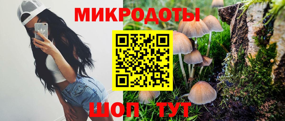 Псилоцибиновые грибы прущие грибы Коломна