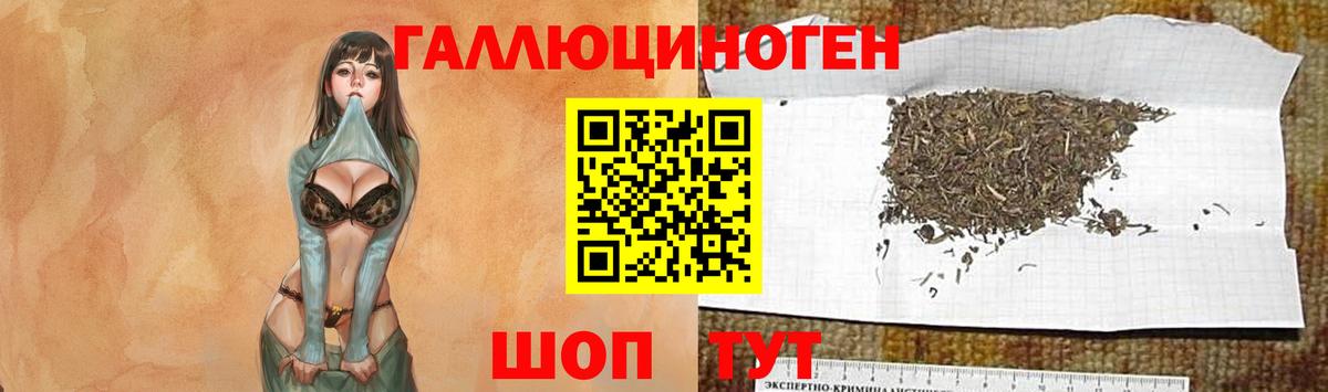 как найти закладки  Псилоцибиновые грибы GOLDEN TEACHER  Вход с VPN  Псилоцибиновые грибы прущие грибы  Коломна 