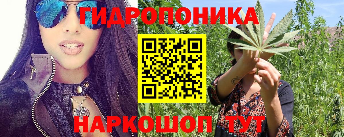 Канабис White Widow Коломна